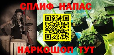 герыч Будённовск