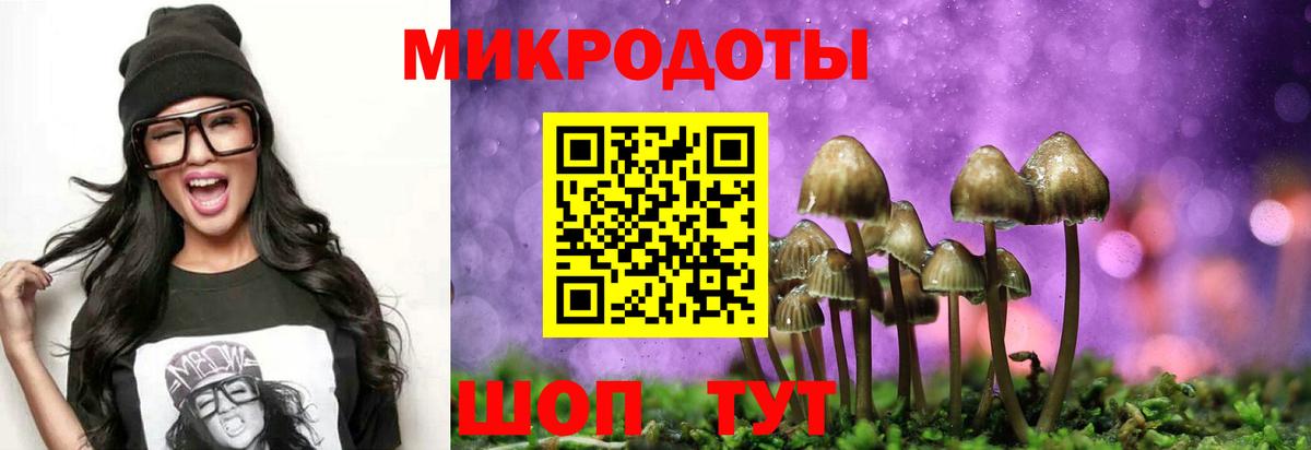Псилоцибиновые грибы Psilocybe Ногинск